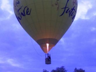 Balloon lands in sports field