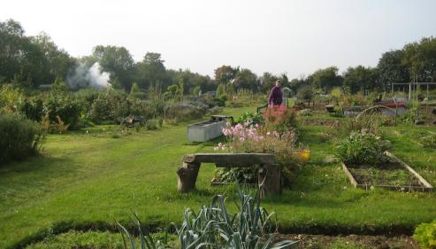 A View of the Allotments